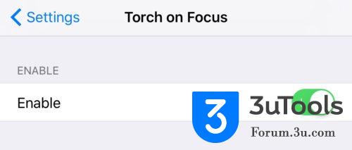 Torch-on-Focus-Prefs-500x213.jpg